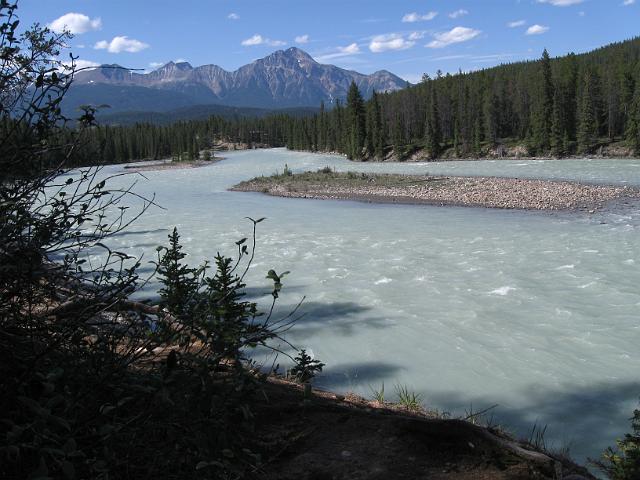 Canadian Rockies-346.JPG - Wapiti Campground/Athabasca River